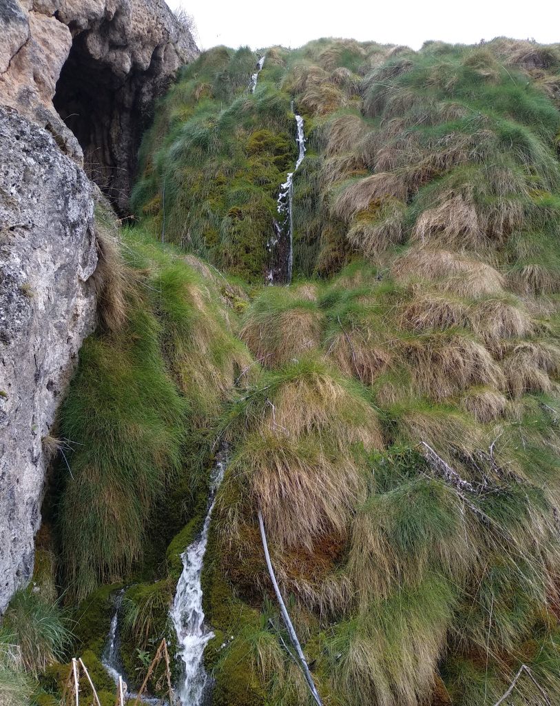 Cascada sobre vegetación calcícola