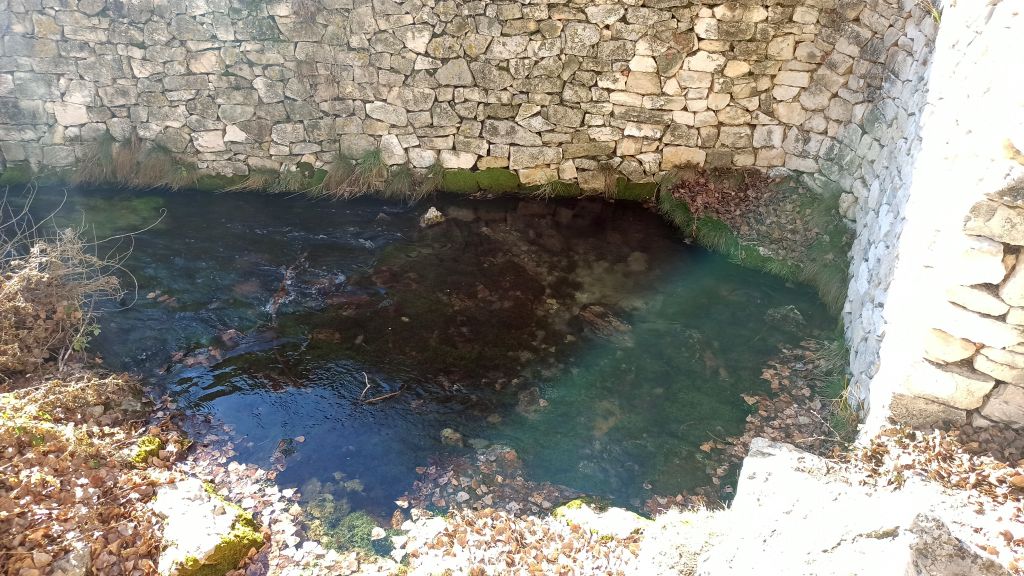 Manantial Manadero del Bornova