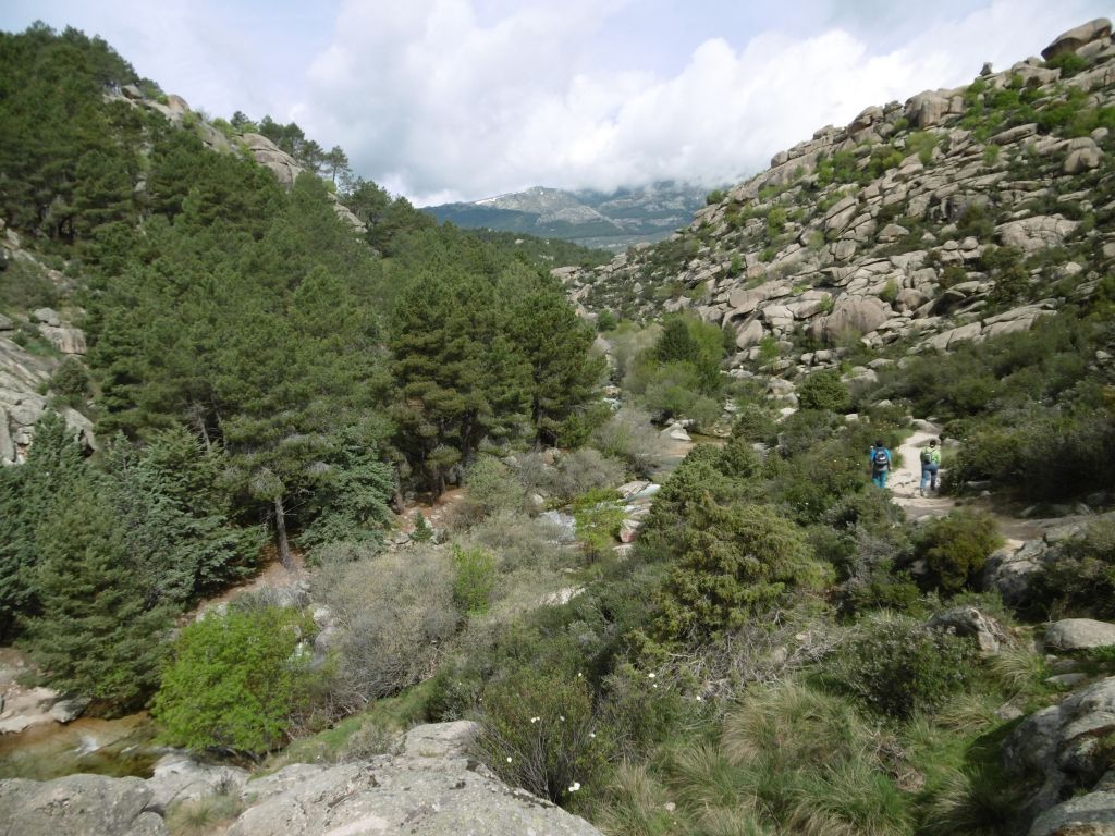 Grandes bolos conforman el valle de la reserva natural fluvial Río Manzanares