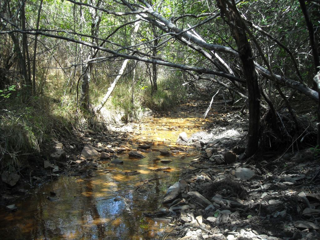 Luces y sombras creados por la ribera en la reserva natural fluvial Ríos Riato y Puebla