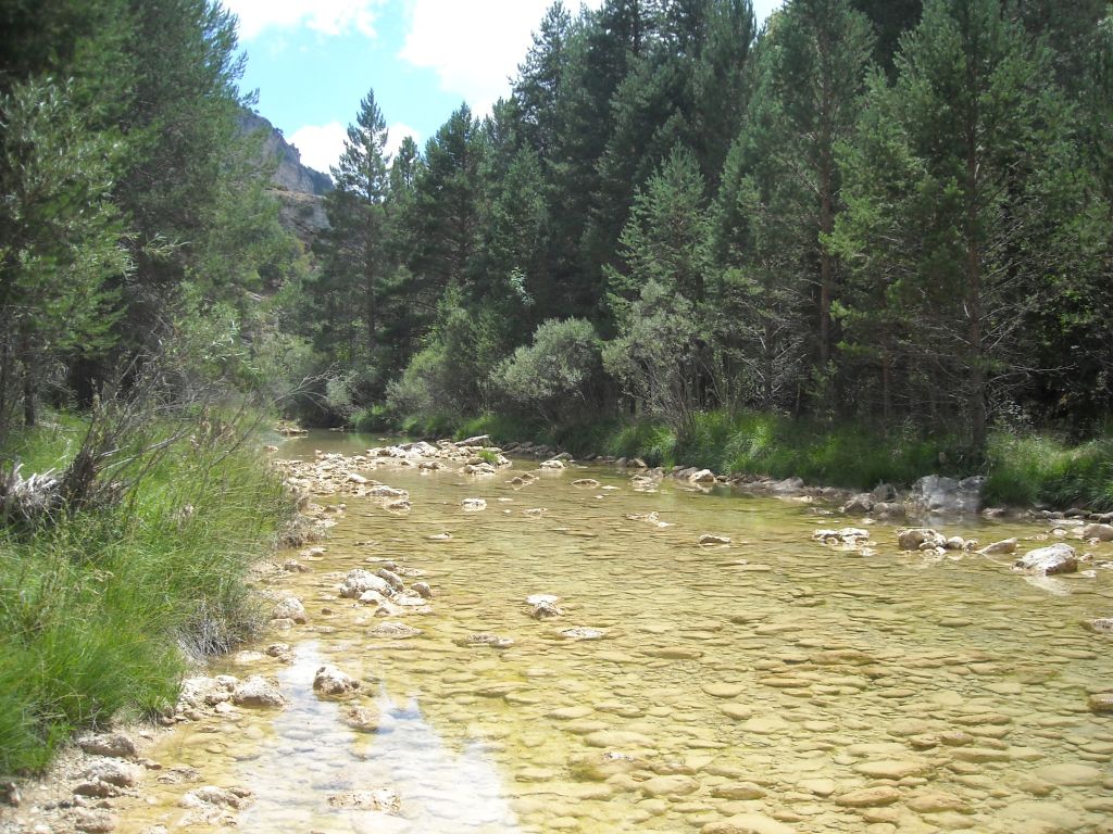 El cauce va aumentando su caudal a lo largo de la reserva natural fluvial Río Tajo