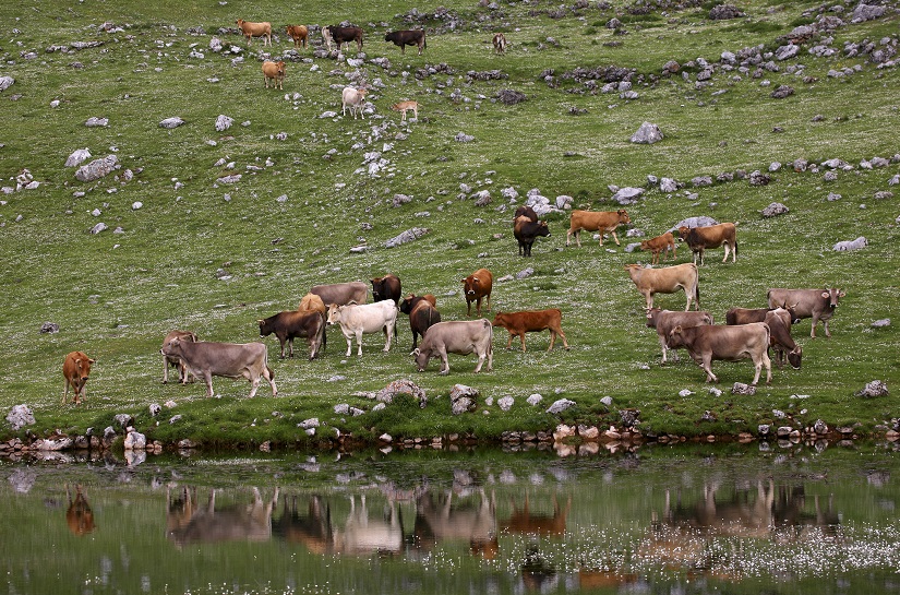 Protección de las aguas frente a los nitratos y pesticidas