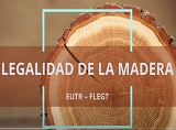 video Toma de muestras de madera en muebles