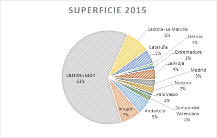 05 Superficie2015.jpg