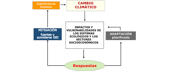 Adaptación y Mitigación