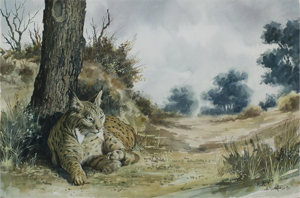 Panel 6. P.N Doñana, Lince, Pedro Martín de Santos. Tamaño: 39 cm x 60 cm.