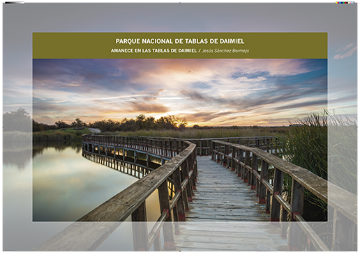 Tablas de Daimiel. Amanece en las Tablas de Daimiel / Jesús Sánchez Bermejo