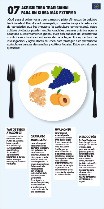 Panel 07. Agricultura tradicional para un clima más extremo