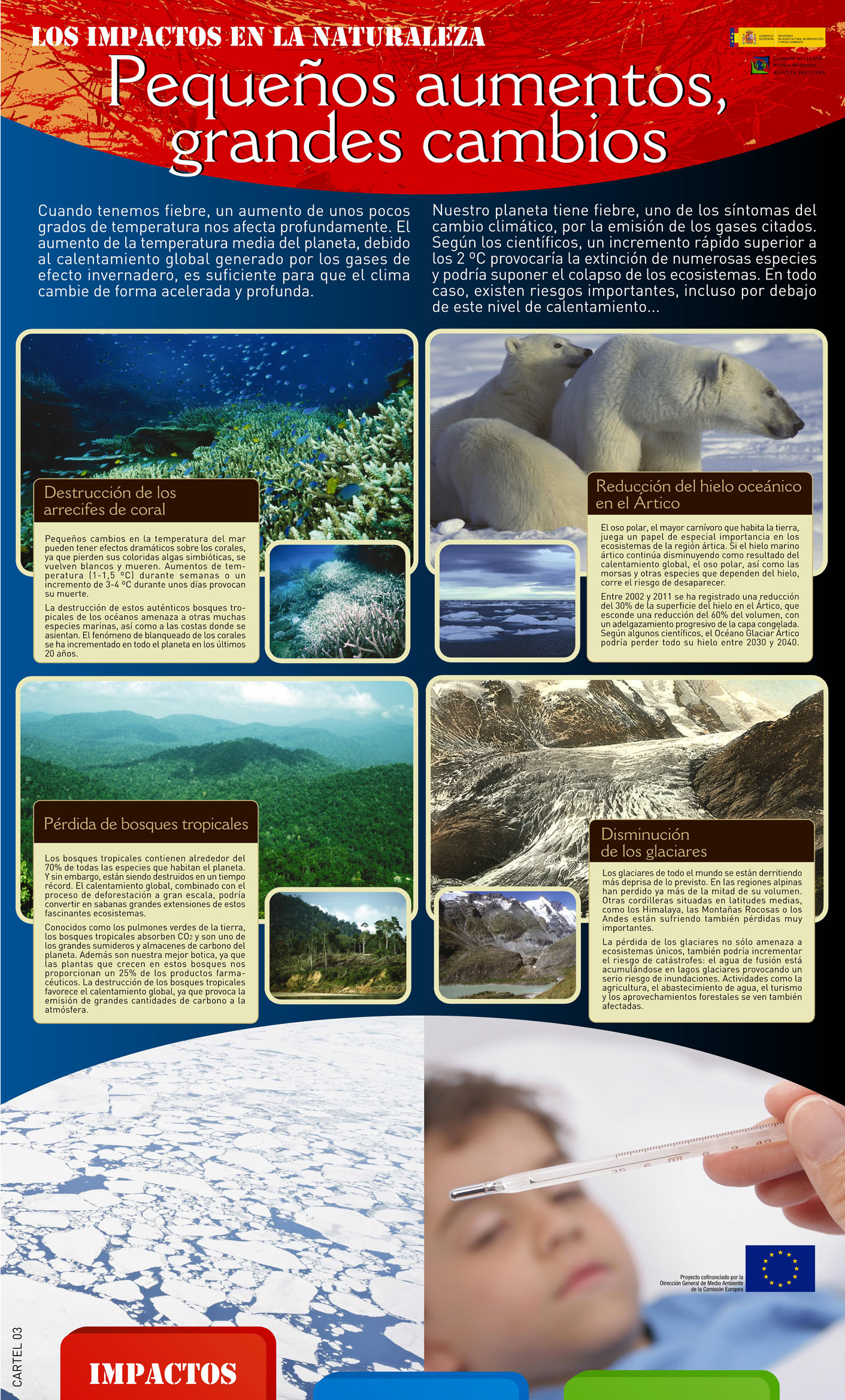 Panel 3. El calentamiento global ya hace sentir sus efectos en paisajes naturales de todo el planeta: arrecifes de coral, tundras árticas, selvas tropicales, glaciares de montaña... Un aumento rápido de las temperaturas medias superior a los 2ºC podría tener un impacto devastador en los sistemas vivos.