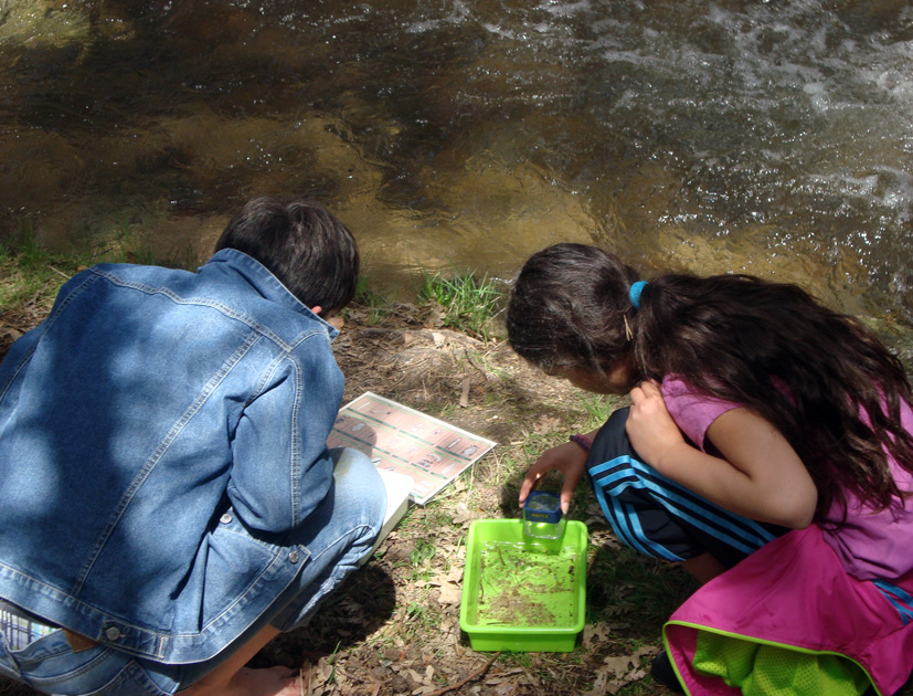 Los alumnos observan diferentes elementos del agua con una lupa