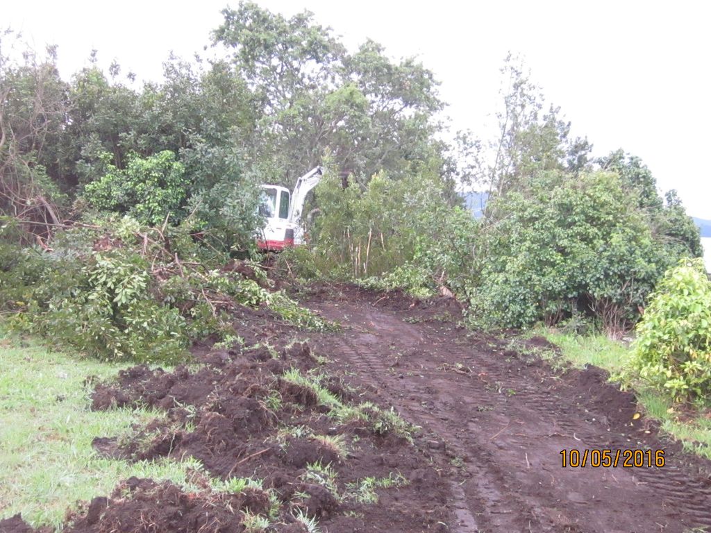 Durante las obras