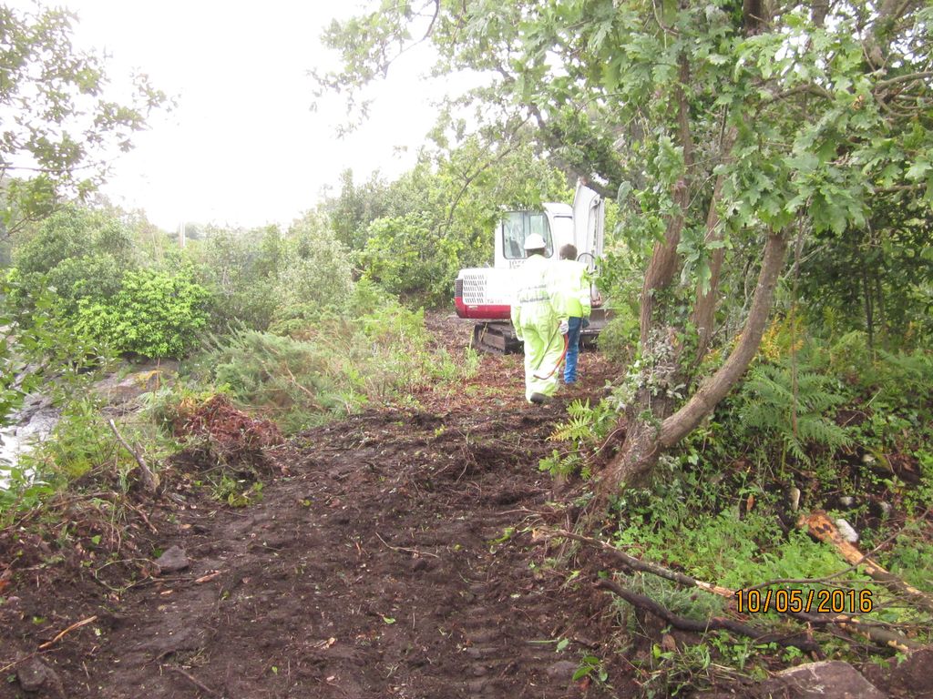 Durante las obras