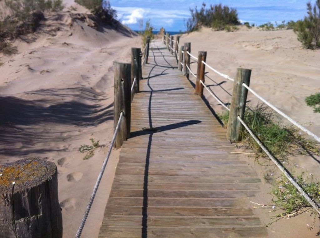 REPERFILADO PLAYA RIOMAR (DELTEBRE) (Durante las obras)