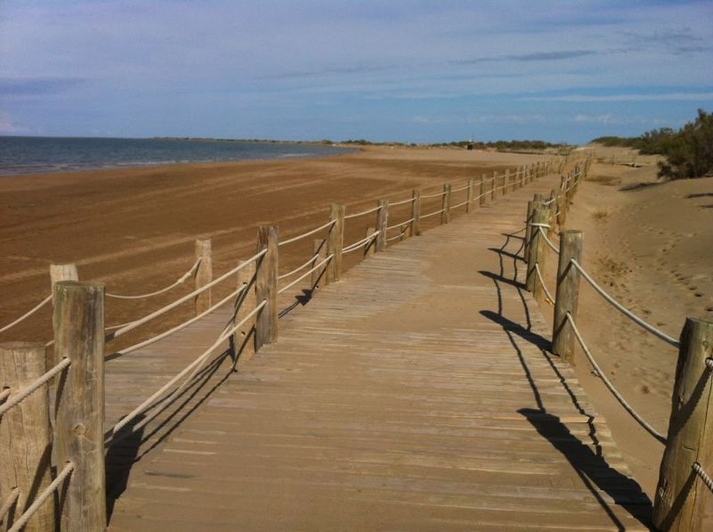 REPERFILADO PLAYA RIOMAR (DELTEBRE) (Durante las obras)