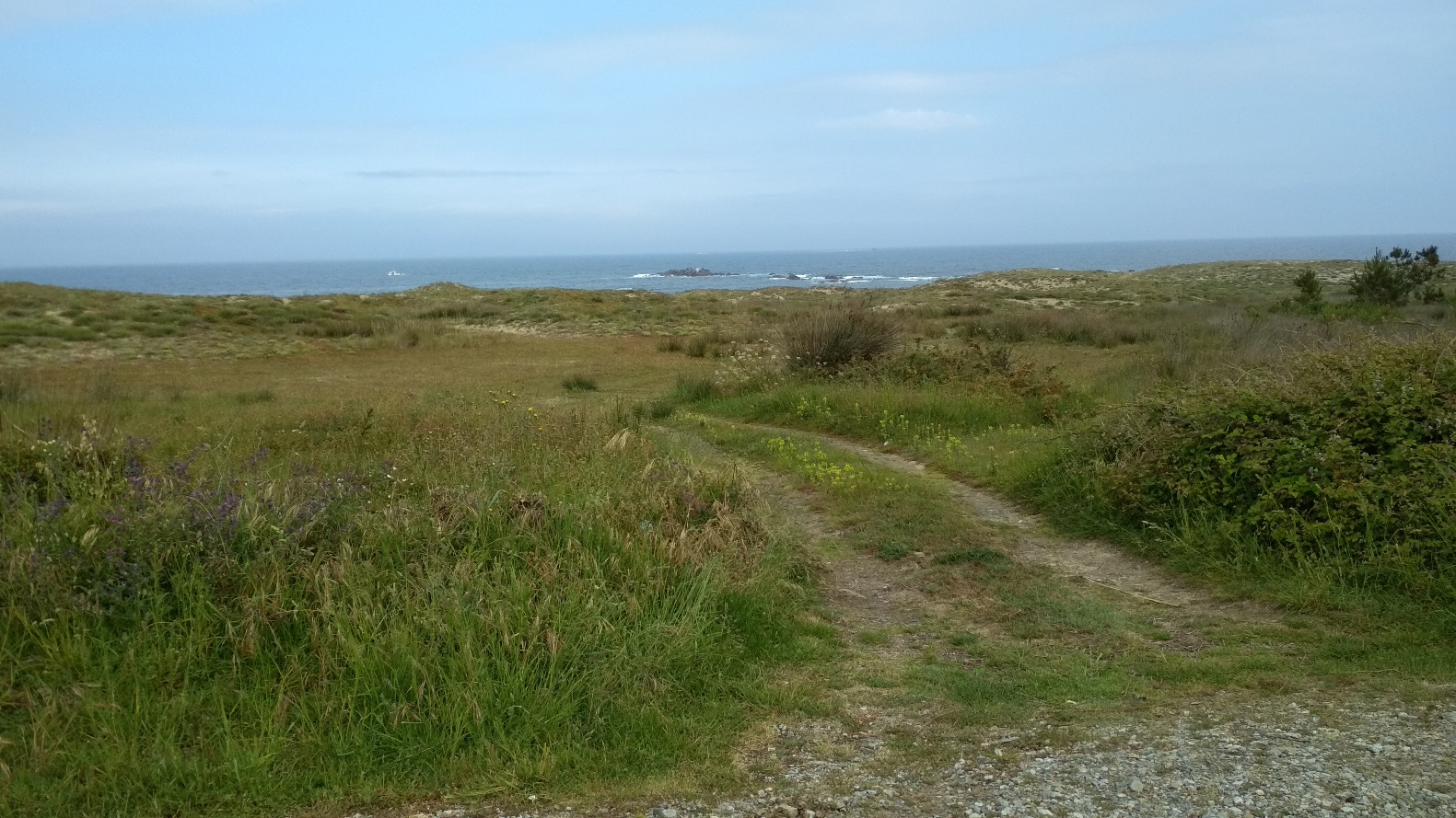 Mantenimiento y conservación V. Playas de Vilarrube y Lago (Valdoviño), Nemiña y Os Muiños (Muxía), La Torre (Rianxo), Ladeira (Ribeira), A Illa y A Corna (A Pobra do Caramiña) - Cierres de acceso al DPMT (Antes de las obras)