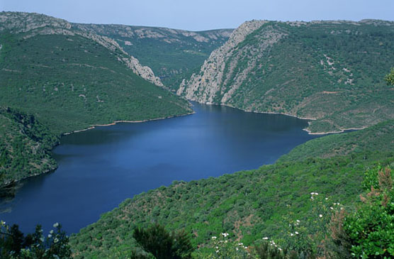 Parque Nacional de Monfragüe. Autor: J.M. Reyero/ Fototeca CENEAM