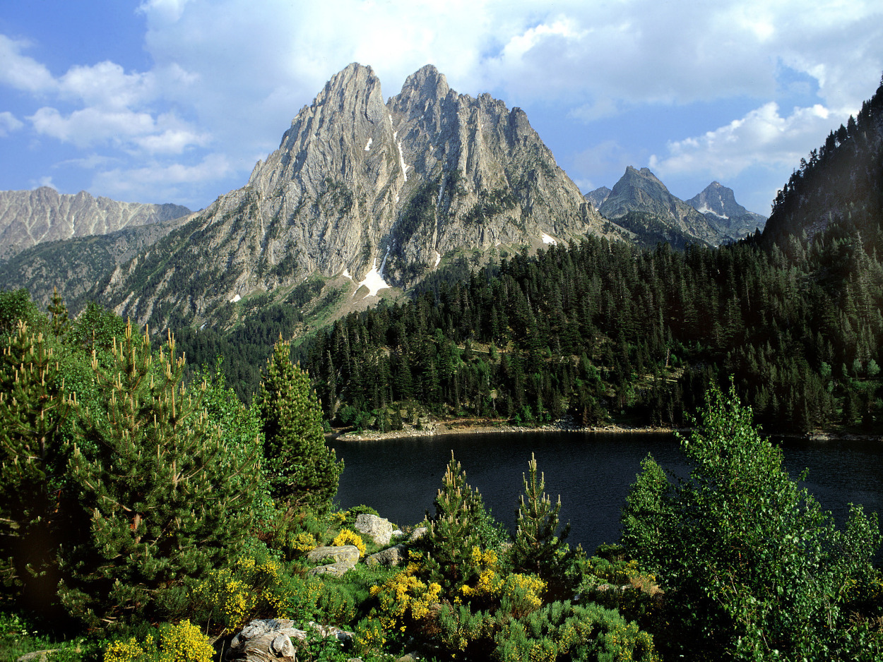 Parque Nacional de Aigüestortes i Estany Sant Maurici. Autor: J. M. Reyero / Fototeca CENEAM 