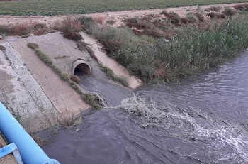 Vertido de pluviales en la cuenca del Mar Menor