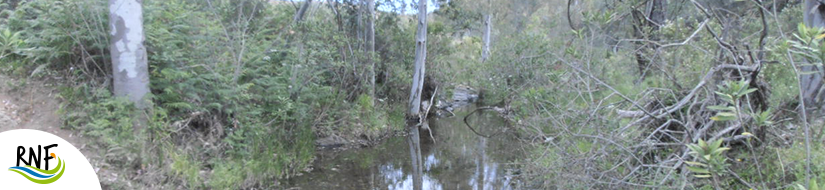 Reserva Natural Fluvial Arroyo de Clarina