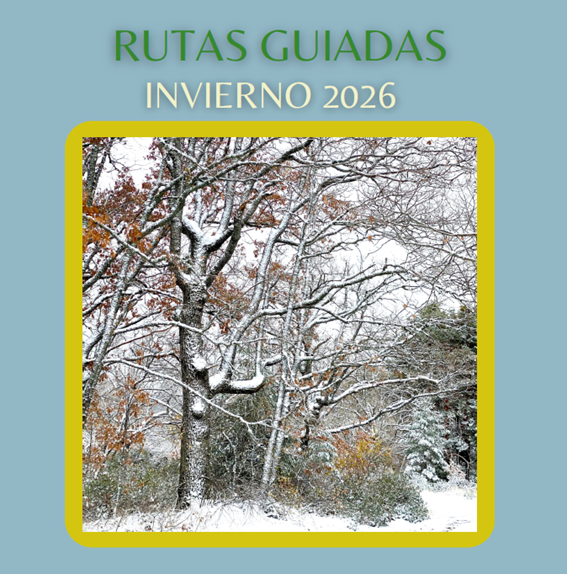 Rutas guiadas y excursiones didácticas - Invierno 2026