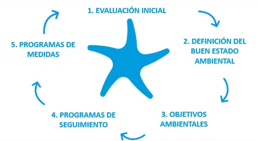 Estrategias marinas. Fases del tercer ciclo