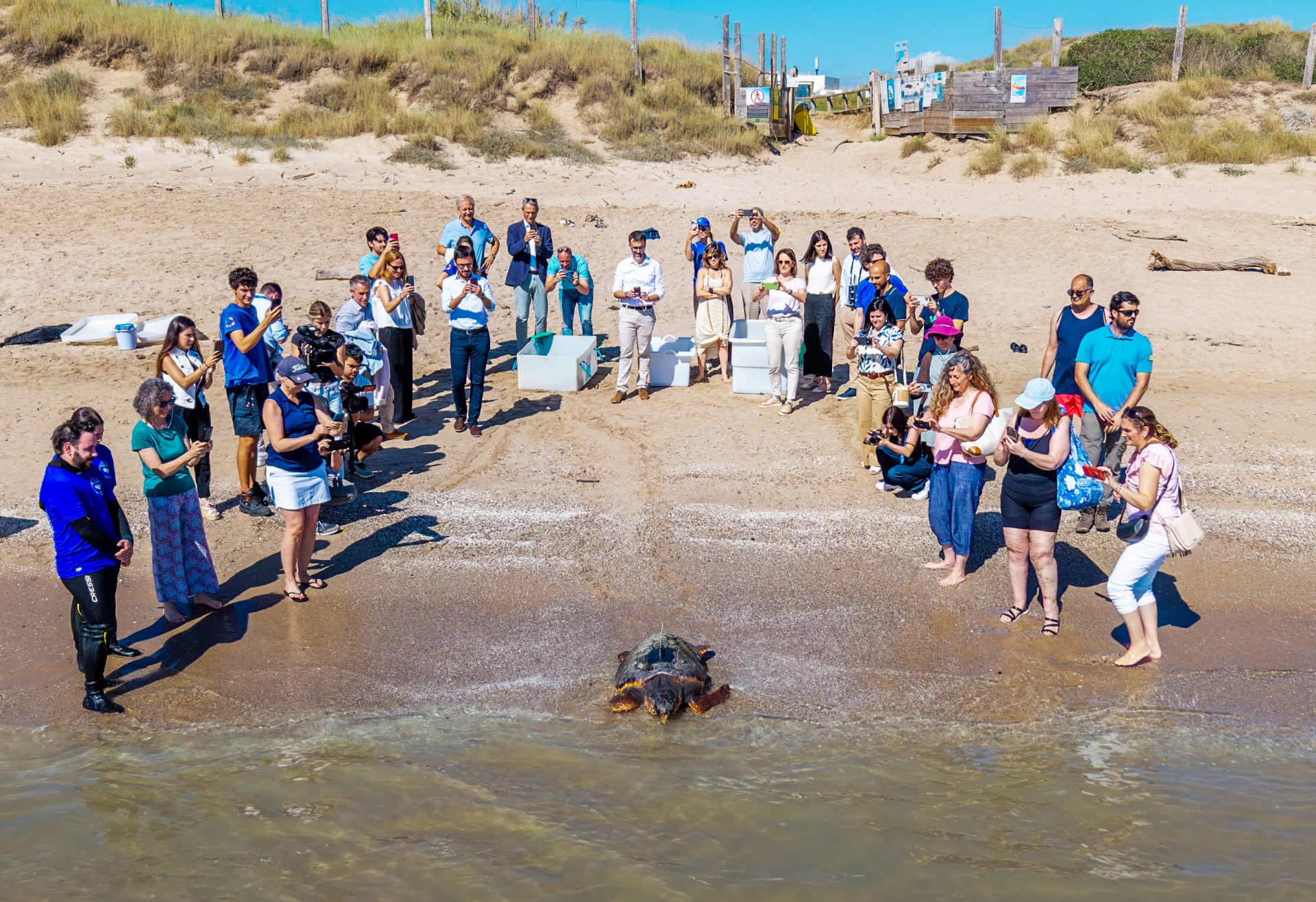Los_asistentes_despiden_a_un_ejemplar_de_tortuga_Caretta_caretta
