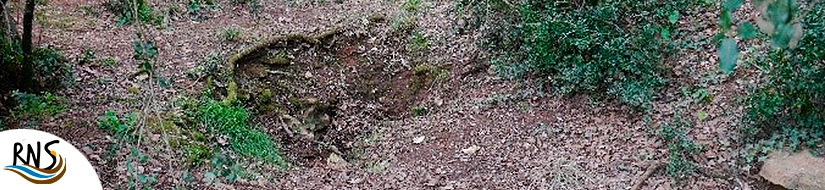 Sistema acuífero cárstico de la cubeta lacustre Banyoles-Besalú