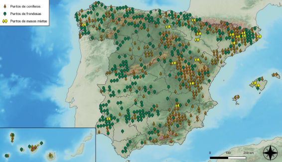 Mapa de la red de seguimiento a gran escala del estado de los bosques N I