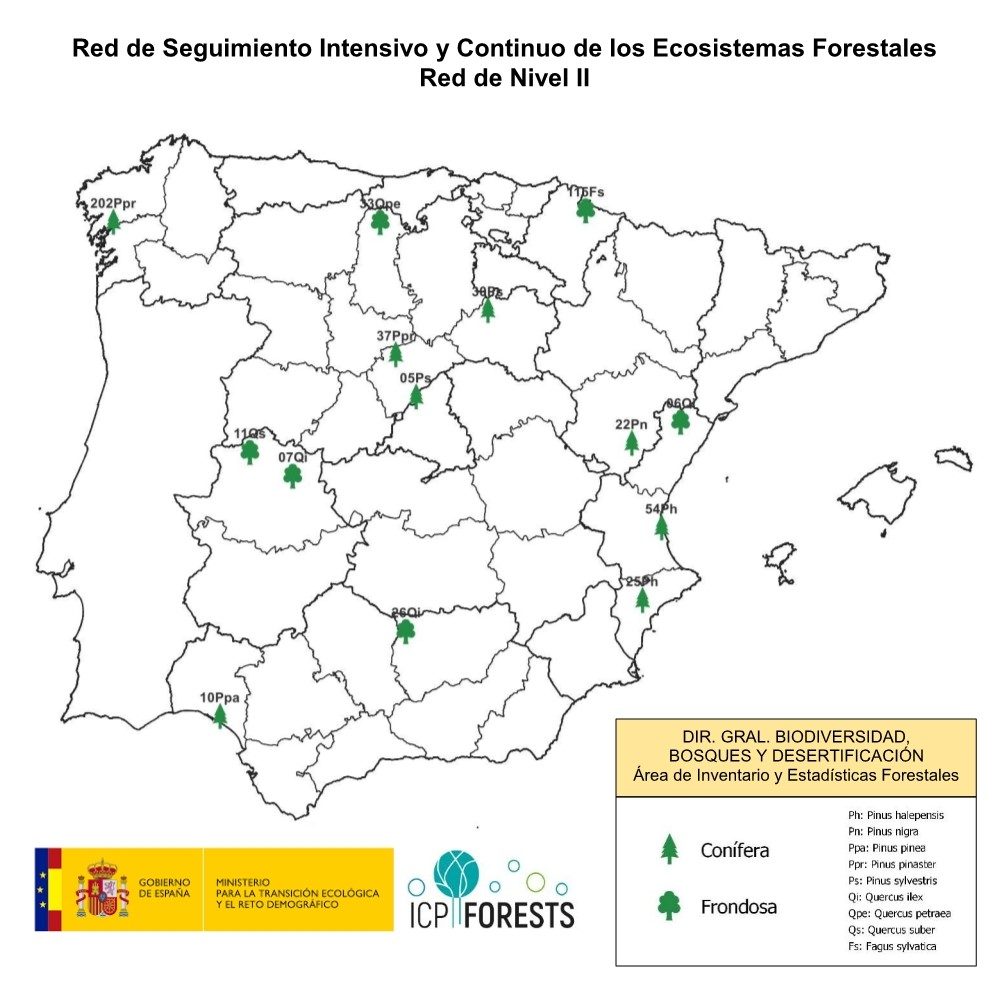 Mapa de la red de seguimiento intensivo del estado de los bosques N II