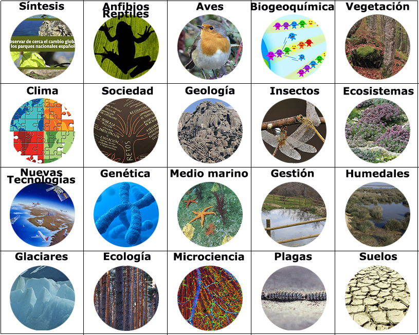 Proyectos de investigación en la Red de Seguimiento de Cambio Global
