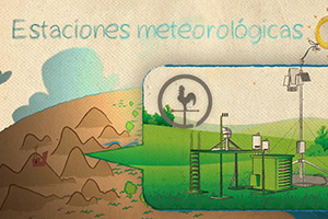 Video de Seguimiento del Cambio Global en Parques Nacionales