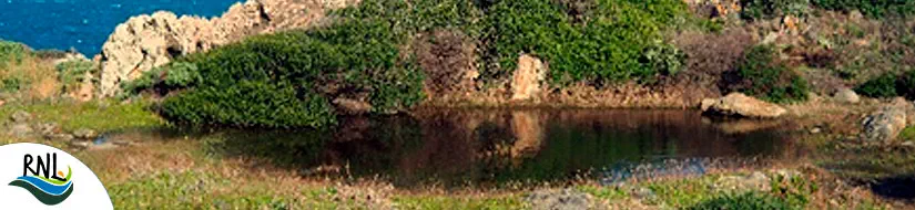 Estanyols del Pla d’Estanyets