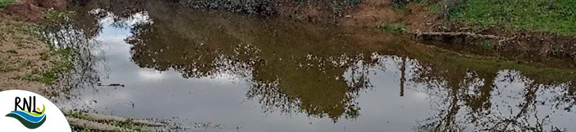 Estanys de les Alberes – Estanys de Cantallops