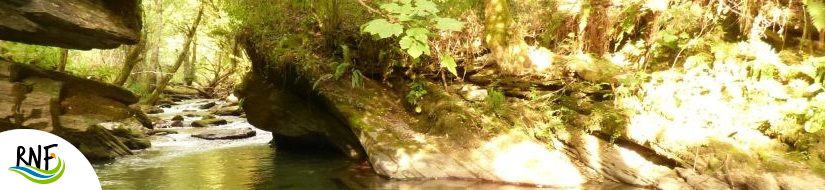 Reserva Natural Fluvial de Río Lor I