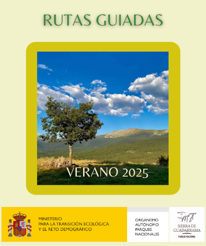 Rutas guiadas y excursiones didácticas - Verano 2025