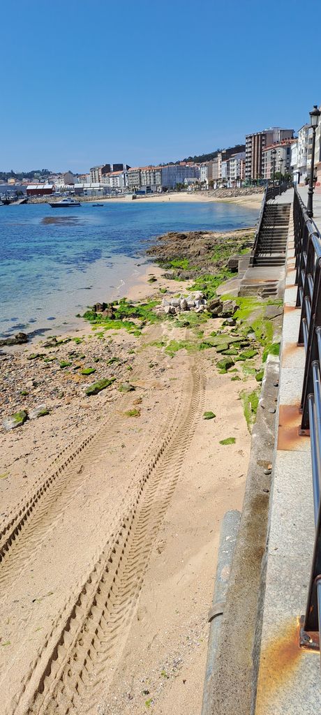 Imágenes del proyecto