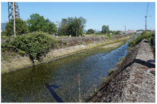 Proyecto de naturalización del canal de Artia (Tramo GI-636 – río Bidasoa); término municipal de Irún.