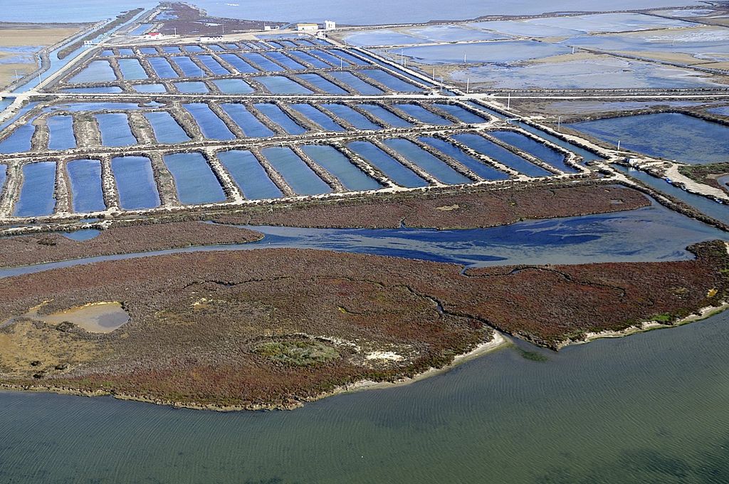 Actuaciones C4, C5, C11, C13, C14 Y C15 L’Alfacada y La Tancada – Life. Fase II La Tancada