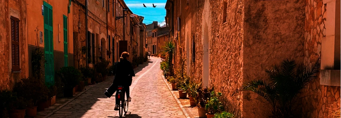 Cohesión territorial