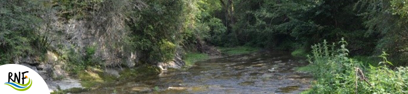 Reserva Natural Fluvial Cabecera de la Riera de Foradada 