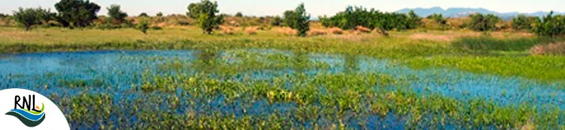 Estanys de les Alberes – Estanys dels Torlits, Cardonera, Pous, Massot i Serra-Seguer