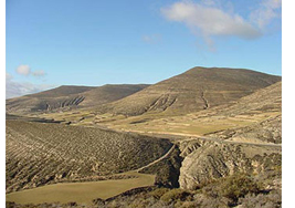 Paisaje desértico con montañas