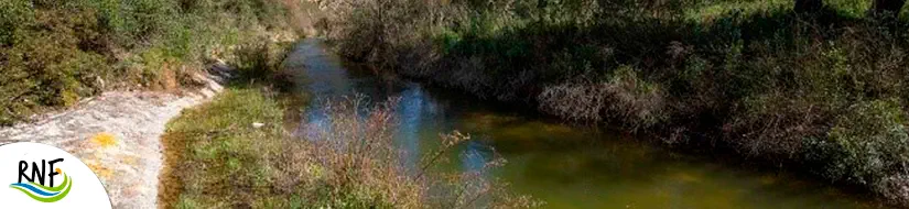 Reserva Natural Fluvial Cabecera del Gaià