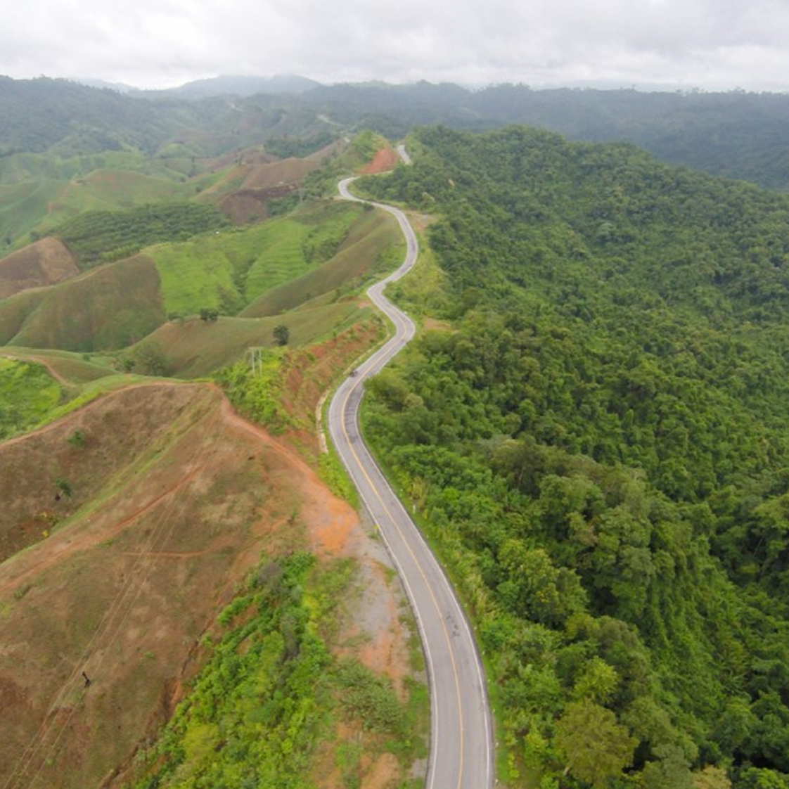 comercializacion_madera_legal
