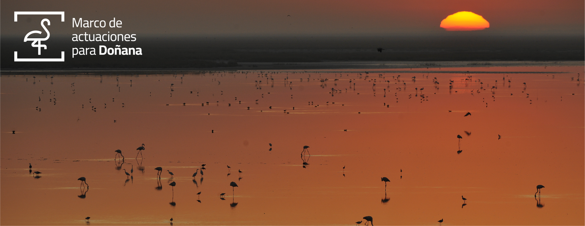 Marco actuaciones para Doñana