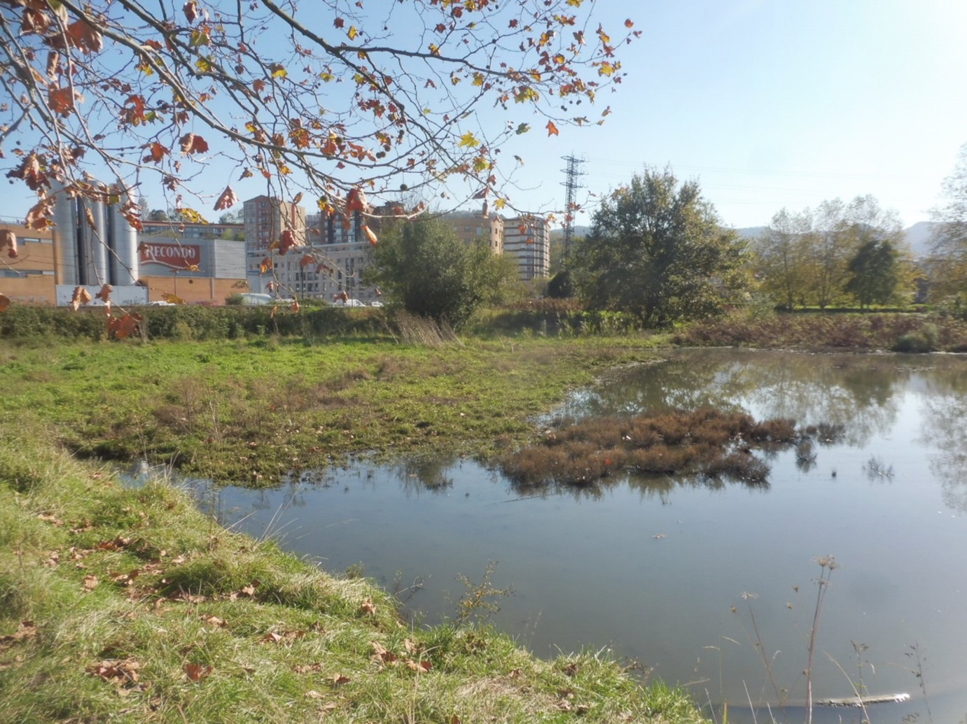 Galería de imágenes del Proyecto de naturalización del canal de Artia (Tramo GI-636 – río Bidasoa); término municipal de Irún.